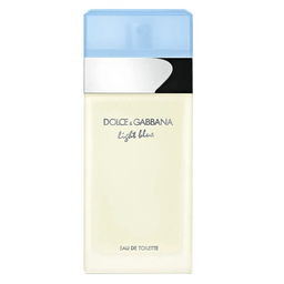 Perfume Dolce & Gabbana Light Blue Feminino Eau De Toilette 100 Ml