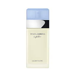 Perfume Dolce & Gabbana Light Blue Feminino Eau De Toilette 25 Ml