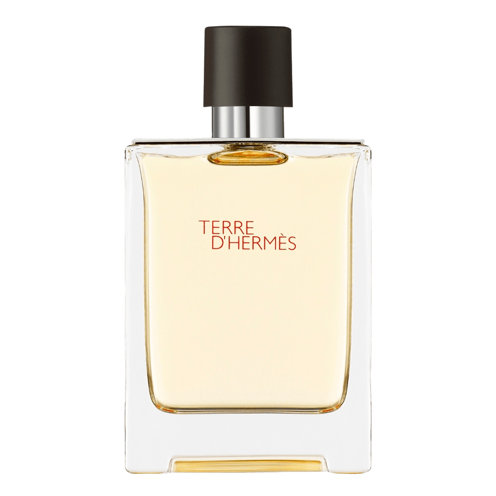 Perfume Hermès Terre D'hermès Masculino Eau De Toilette 100ml