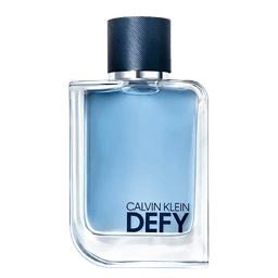 Perfume Calvin Klein Defy Masculino Eau De Toilette 100 Ml
