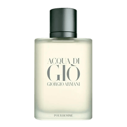 Perfume Giorgio Armani Acqua Di Gio Homme Masculino Eau De Toilette 100ml