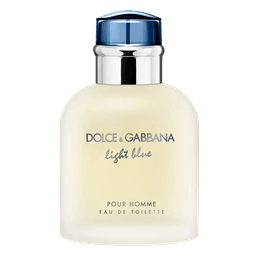 Perfume Dolce & Gabbana Light Blue Masculino Eau De Toilette 75 Ml