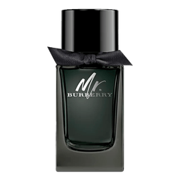 Perfume Burberry Mr. Burberry Eau De Parfum 100ml