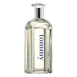 Perfume Tommy Hilfiger Tommy Cologne Masculino Eau De Toilette 100 Ml