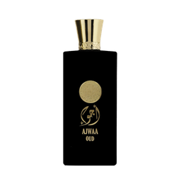 Perfume Nusuk Feminino Parfum 100 Ml