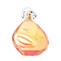 Perfume Sisley Izia  Feminino Eau De Parfum 100 Ml