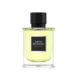 Perfume David Beckham True Instinct Masculino Eau De Toilette 50 Ml