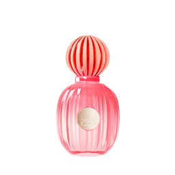 Perfume Banderas The Icon Splendid Feminino Eau De Parfu 50ml
