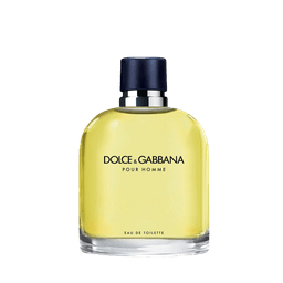Perfume Dolce & Gabbana Dolce Pour Homme Masculino Eau De Toilette 125 Ml