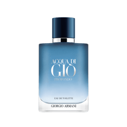 Perfume Giorgio Armani Acqua Di Gio Profondo Masculino Eau De Toilette 100 Ml