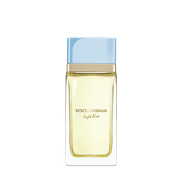Perfume Dolce & Gabbana Light Blue Feminino Eau De Parfum 100ml